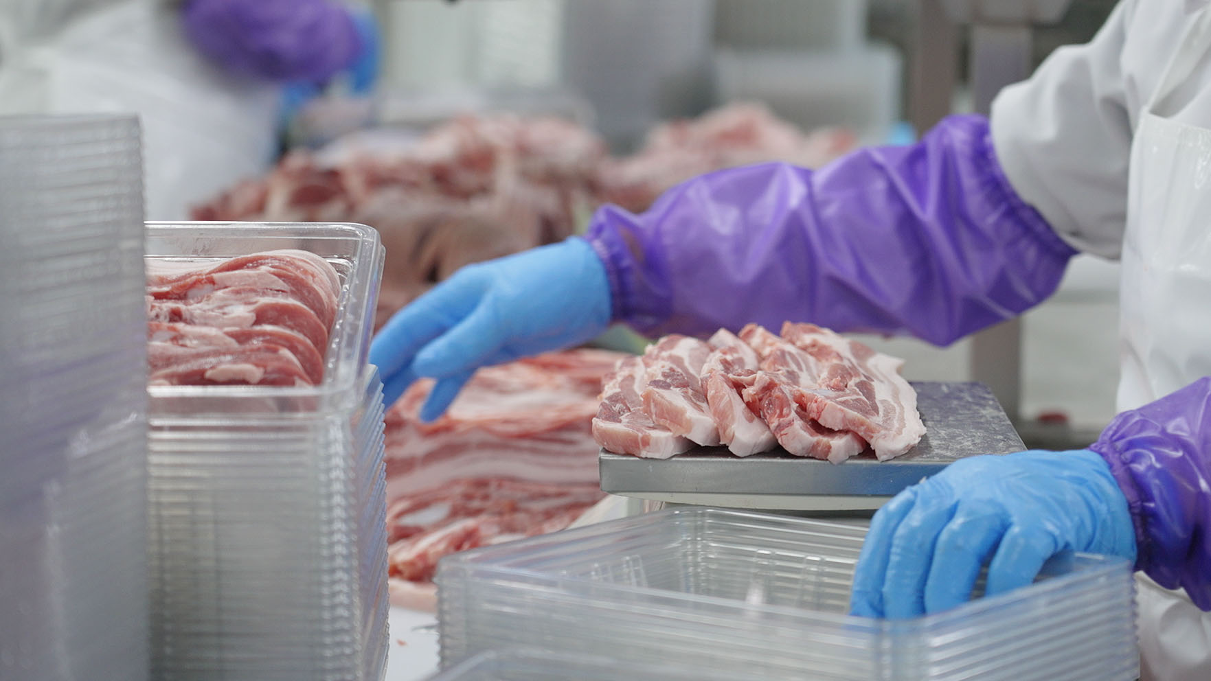 도드람 보정 (2).jpg